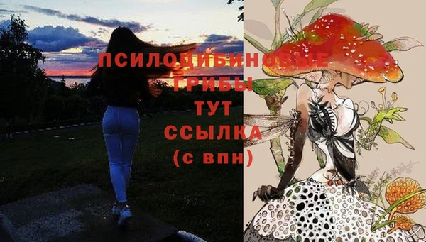 каннабис Алексин