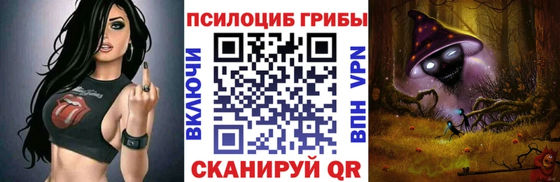 Галлюциногенные грибы Psilocybe  Спасск 